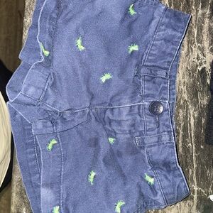 Navy Blue Ralph Lauren Shorts with Green Accents